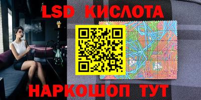 шишки Краснокаменск
