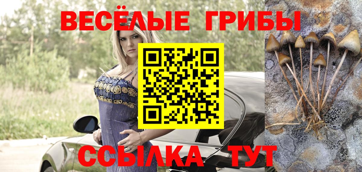 Коломна  Галлюциногенные грибы ЛСД  Вход с VPN 
